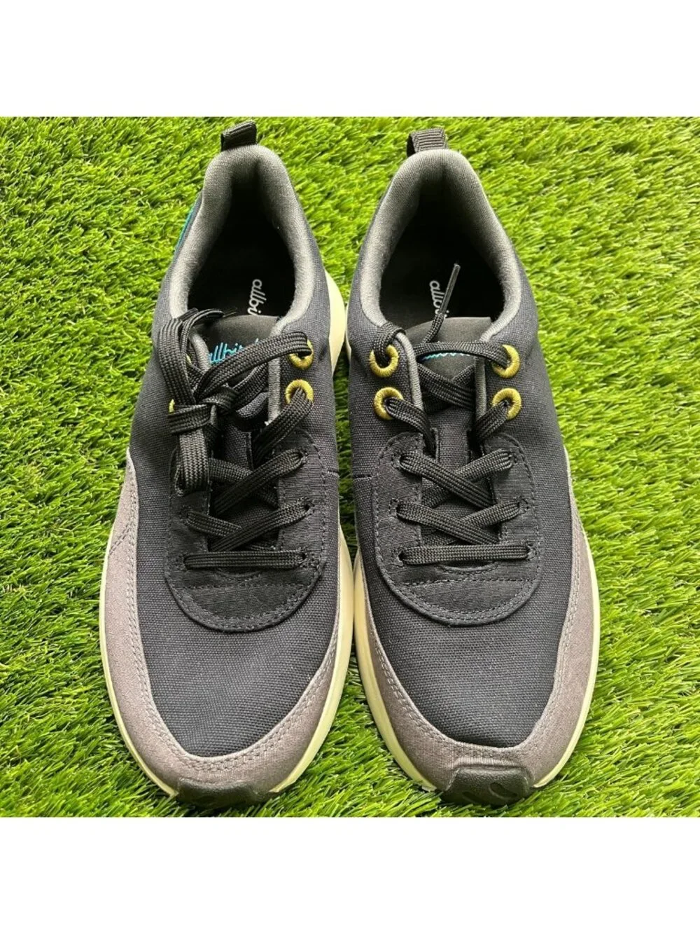 allbirds please review
